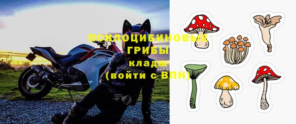 ALPHA PVP Аркадак